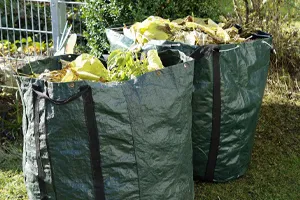 Broyage et évacuation des déchets verts  06